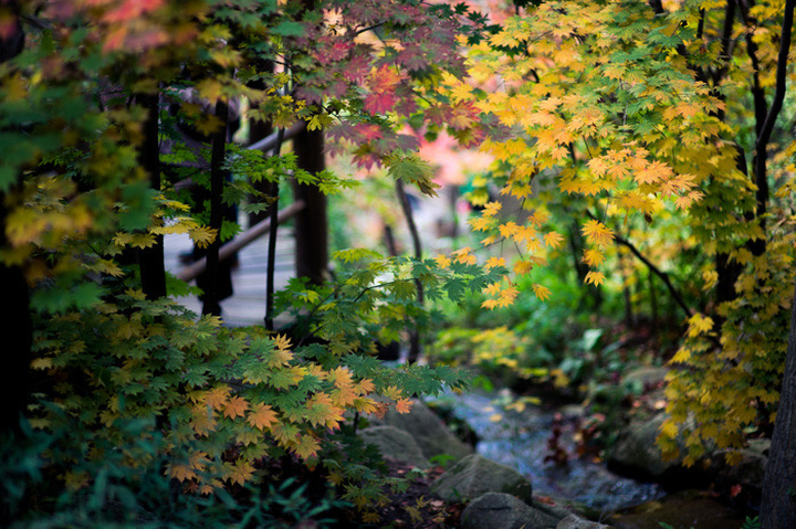 线上展览传递文化魅力 泉城惠民活动激发消费热情