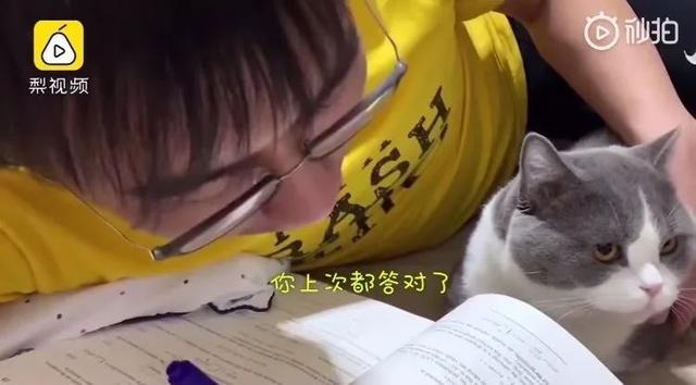 春节不能出门把全国网友憋成啥样？给猫讲函数，为橘子接生