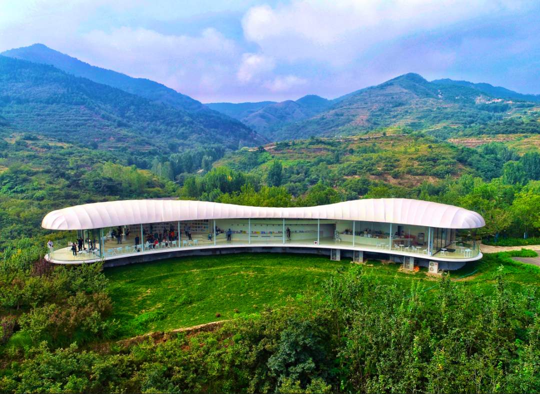 “553N”——解锁乡村振兴“山东密码”