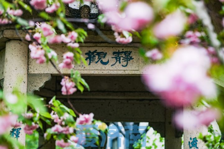 斜风细雨 水泛涟漪 雨中的五龙潭如诗如画