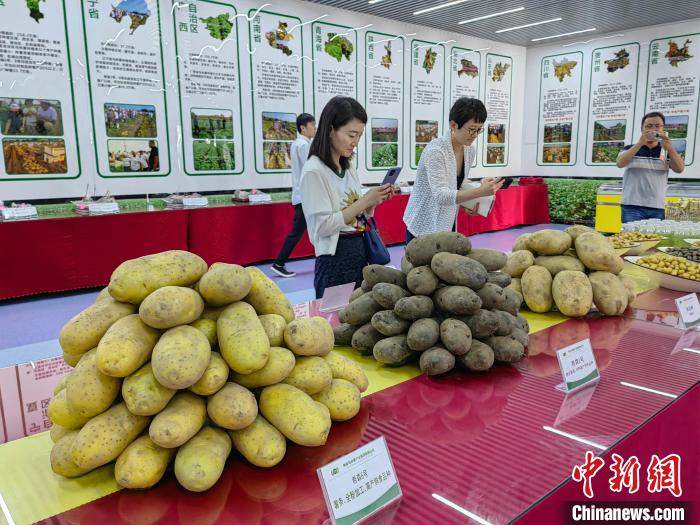 （高质量发展调研行）山东德州兴产业“反哺”乡村 让经济民生“同频共振”