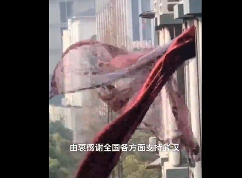 最好的结局！“武汉窗帘”的主人回家了