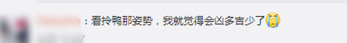 【后续来了】就缺这一口肉？警方回应王珞丹寻鸭启事 