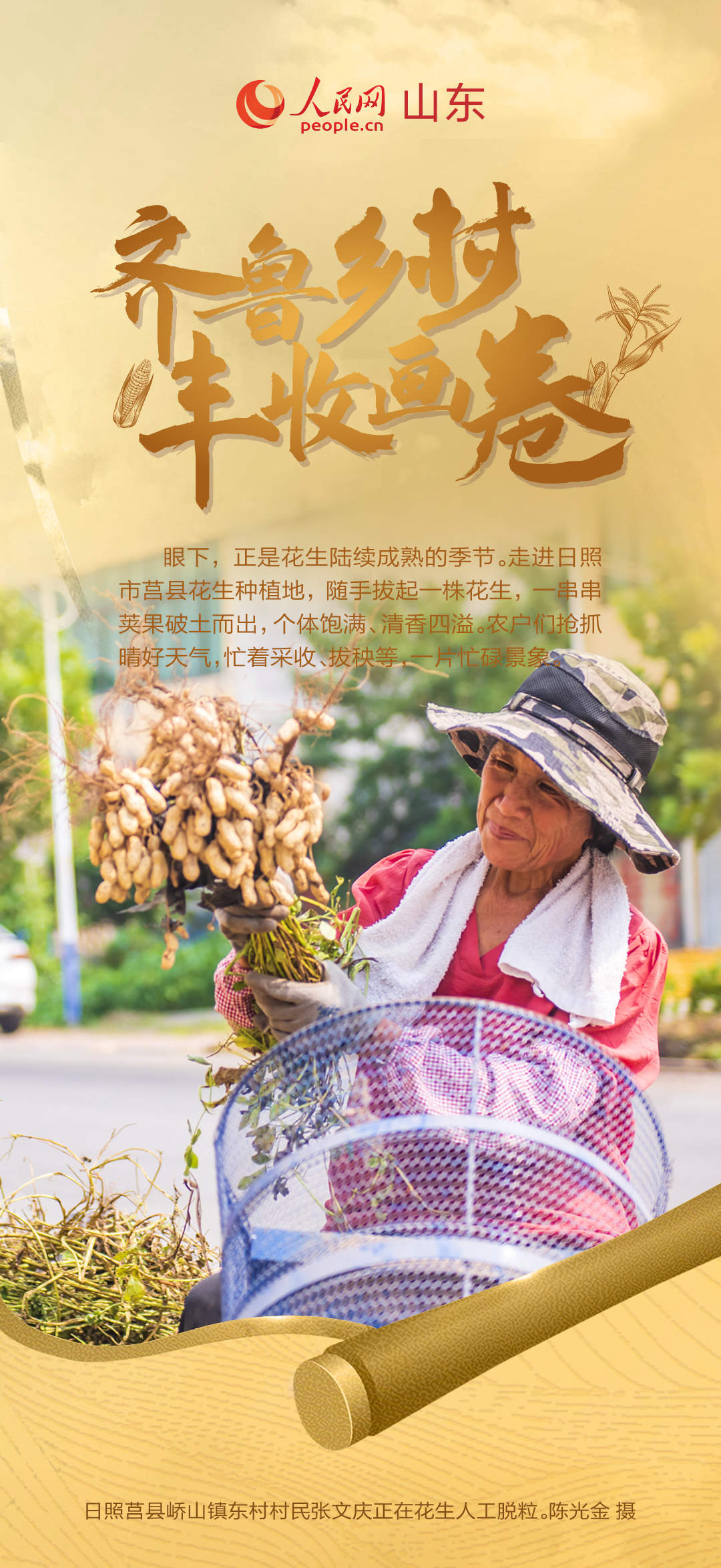 乡村振兴美如画 齐鲁大地好“丰”景