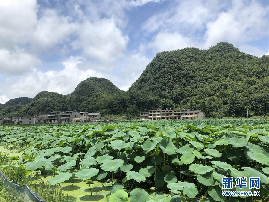 贵州：“寻觅凉爽夏日”带火“避暑经济”