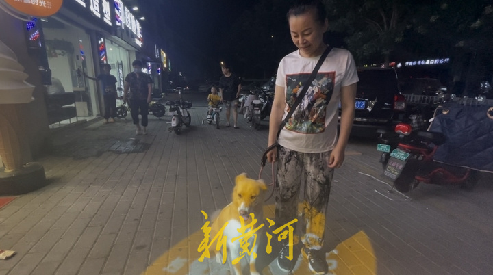 深夜遛狗人：手握犬绳感受宠物陪伴的温暖