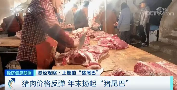 猪肉价格反弹！房企抢滩 卖猪比卖房挣钱？