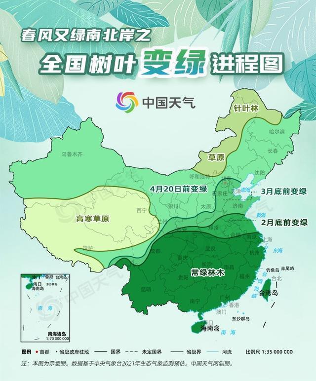 北方先绿了全国树叶变绿地图出炉今年春天有点暖