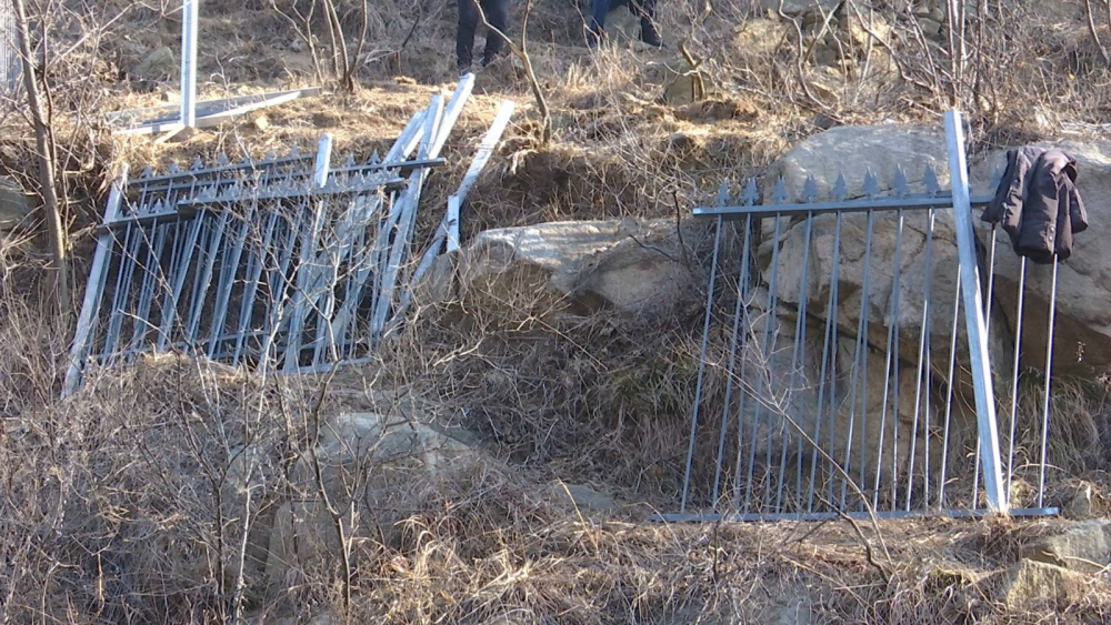 济南网红“狮身人面像”每天引千名游客打卡  系统化管理有待探讨
