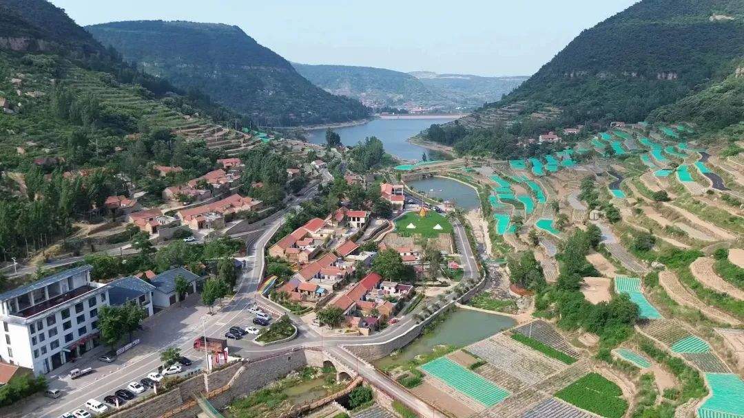 “553N”——解锁乡村振兴“山东密码”