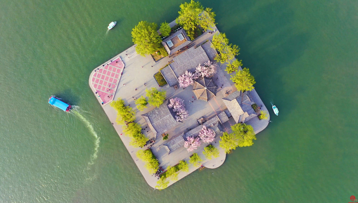 泉水欢歌 花海如潮 人间四月天感受最美济南春色