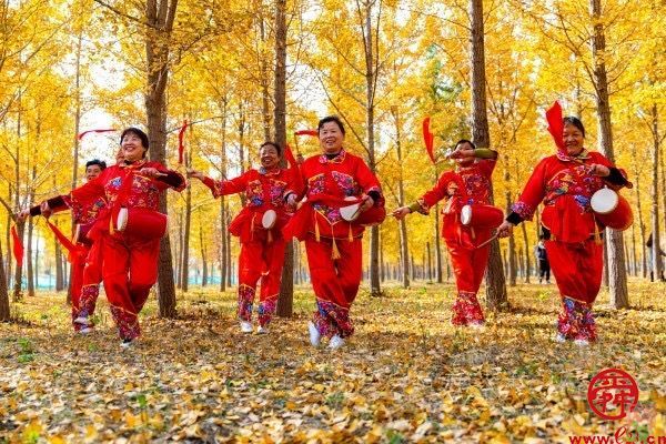 【走基层 看发展】美里湖街道：绘就生态工笔画谱写乡村振兴新篇章