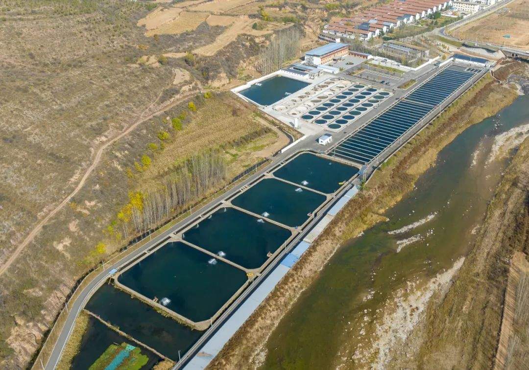 “我的家乡特产，难道特地瞒着我产？”