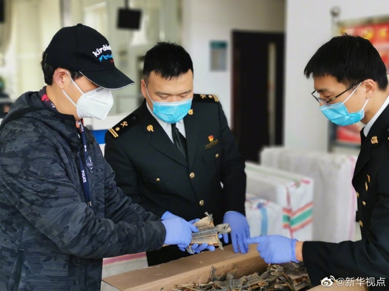 雷霆出击！海关破获国家二级保护野生动物制品走私案