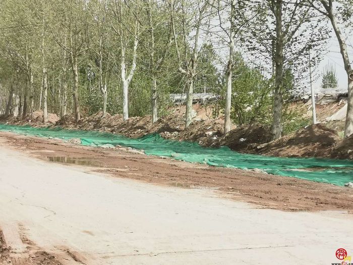 【啄木鸟行动】商河县252县道西石桥村渣土裸露