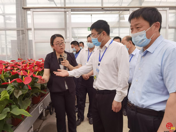 市政协“商量”为“助推济南打造北方种业之都”建言献策