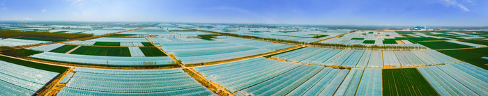 产业产值超18亿元，高官寨街道全力打造江北最大甜瓜市场