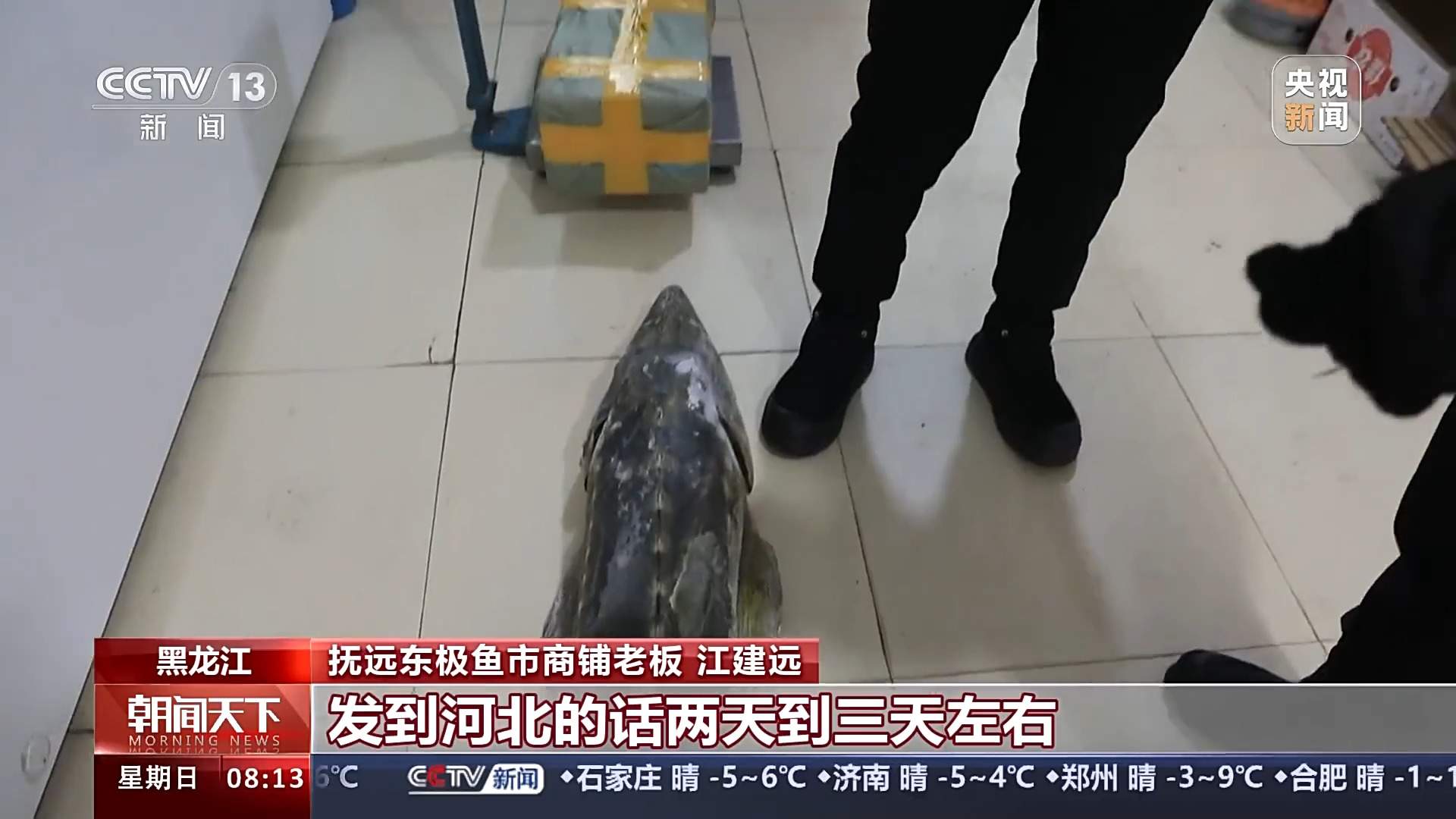 主题列车体验民俗、“北雪南移”不断创新……来看冰雪季消费新方式