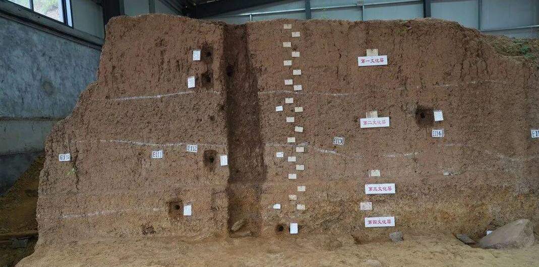 开启鲁版考古“盲盒” 山东4项目入围2022全国十大考古新发现