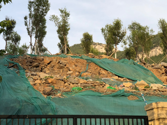 【啄木鸟在行动】市中区鲁能领袖公馆东侧渣土裸露