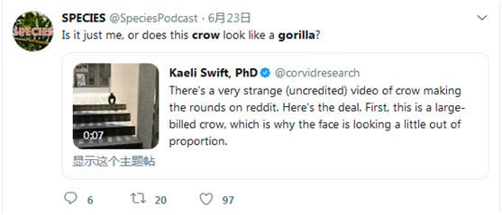 网友炸了！黑猩猩“变脸”长尖嘴？专家称是一只巨嘴乌鸦在晒太阳