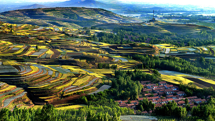 山东有条“天路”走红网络 一年四季景色各异 你最想打卡哪一个