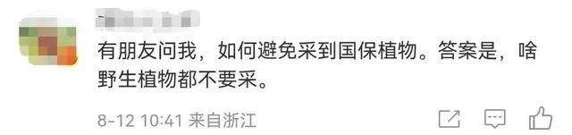 博主采到“雪莲花”还拍视频炫耀？当地回应