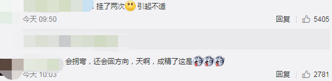 科目二过了吗？外国一小狗8个星期学会开车