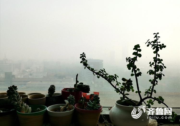 山东大雾来袭！雾气笼罩下楼宇开启“隐身模式”