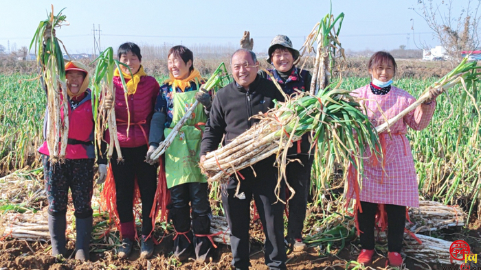 担子挑了19载 实力认证“名招牌” 章丘大葱2600余年还是那个味儿…