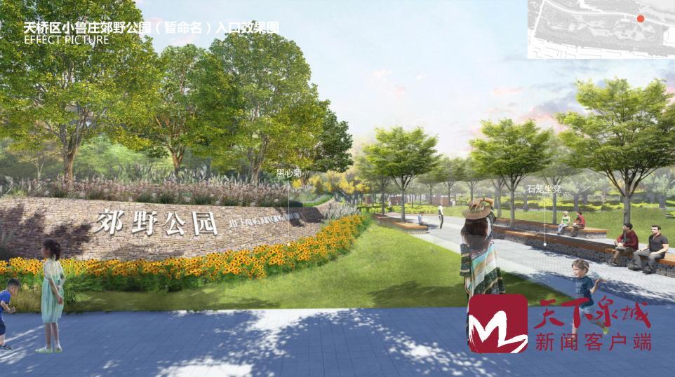 济南黄河淤背区防护林建设开工 6处郊野公园建设4月下旬开工