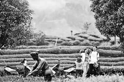 盘点“五一”旅游市场新亮点