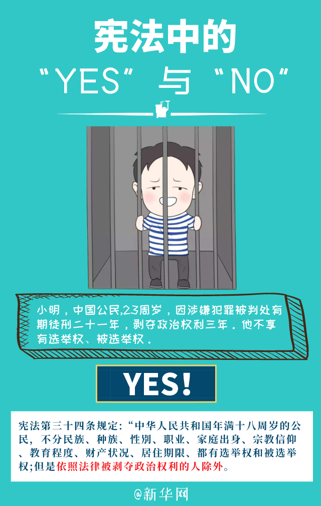 法治课代表