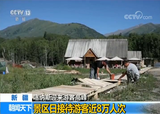 新疆喀纳斯迎来游客高峰 景区日接待游客近8万人次