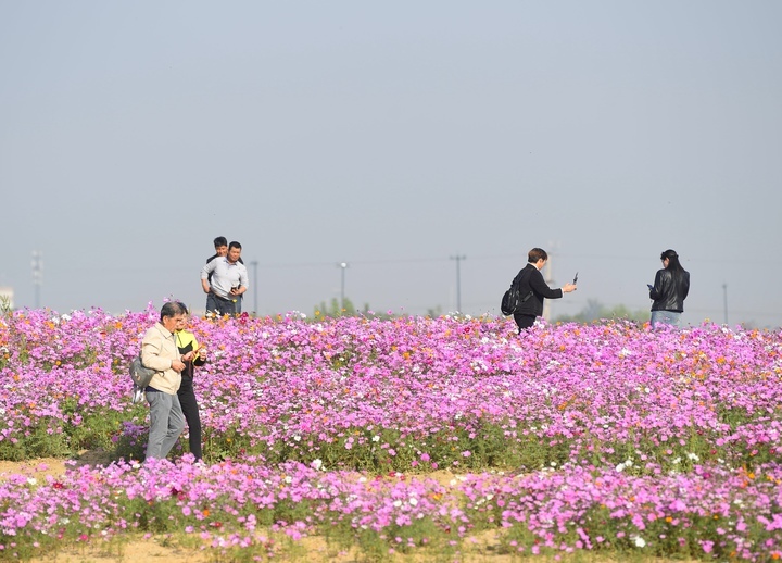 坐地铁赏花海，济南轨交3号线新站开通