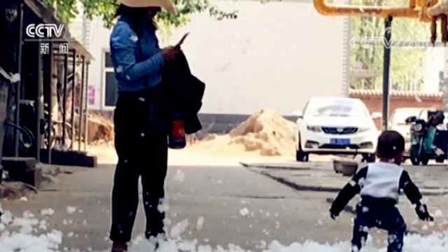 【央视关注】景区湖边惊现大量死鱼 放的真的是“生”吗？