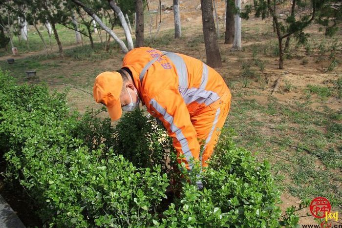 扮靓城市家具，提升城市品质，济南城管掀起爱国卫生运动热潮，干干净净喜迎五一