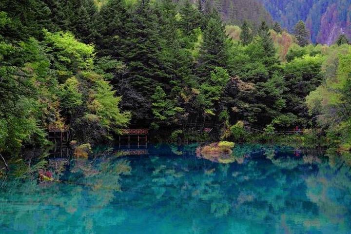 九寨沟回应大妈光脚下水拍照：行政处罚，公开道歉！