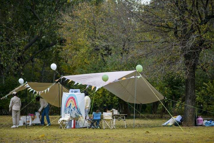 深秋黄叶林中露营野餐 体验“沉浸式”赏秋
