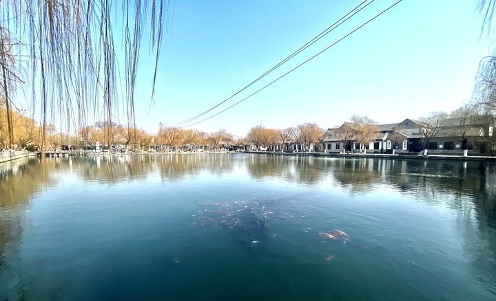 早春济南气温一路向暖 周末弱冷空气将“快闪”上线