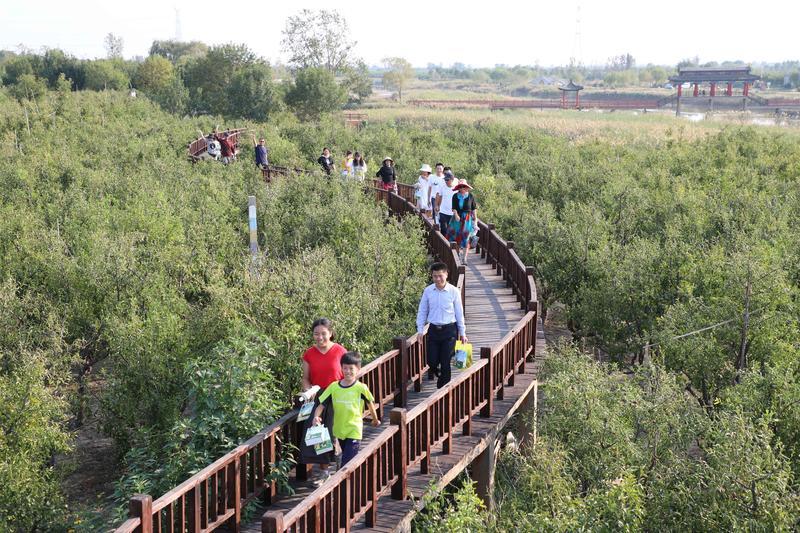 新华社镜头下的济南国庆假期：趵突泉景区游人如织