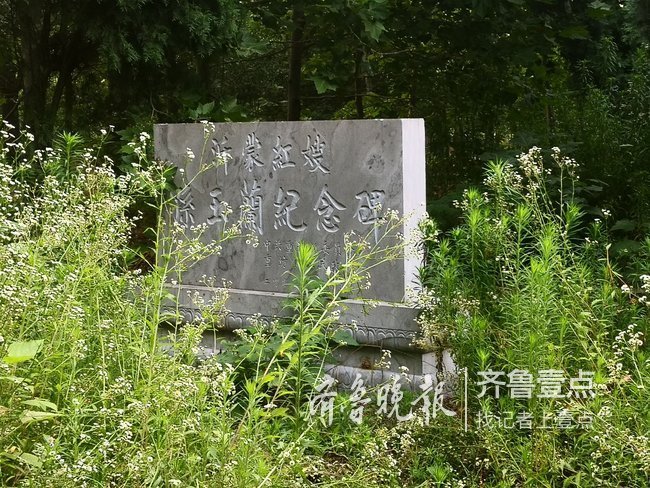 冰水刺骨，沂蒙红嫂孙玉兰带领“娘子军”抢架沂河桥