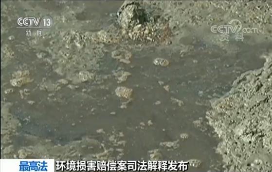 最高法 环境损害赔偿案司法解释发布 将“修复生态环境”作为赔偿方式