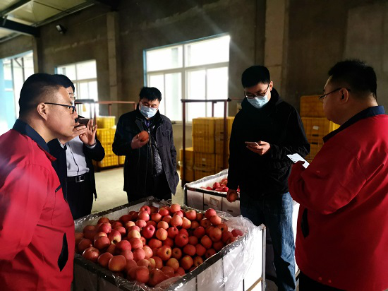 山东省派烟台团省委工作组：“五送”帮解五难题 打出“四进”组合拳