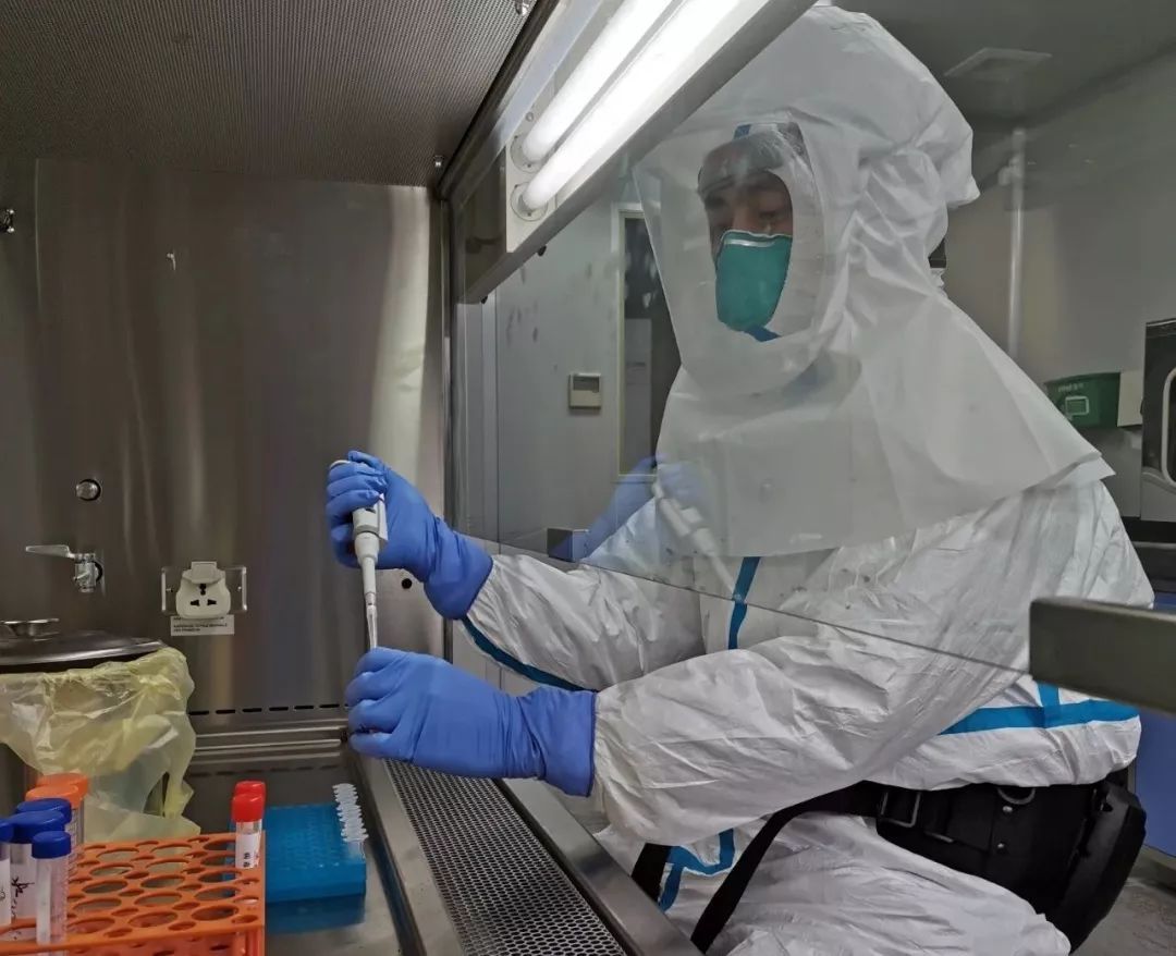 一晚做74份样本检测 他们是病毒检验人员！