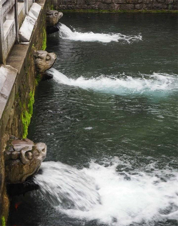 一夜暴涨15厘米！大雨过后济南黑虎泉喷涌更迅猛