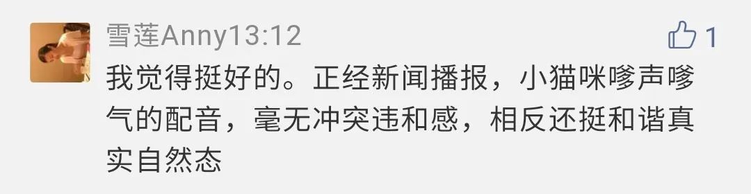 猫来助阵！“央视猫叫”上热搜是怎么回事？终于真相了，原来是这样！