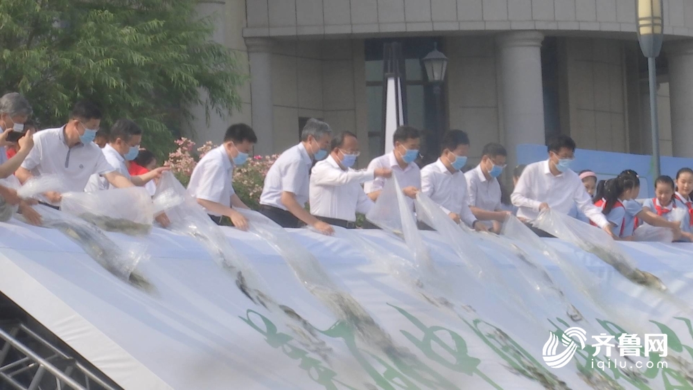 20万尾鱼苗“落户”小清河 济南“放鱼养水”反哺生态环境