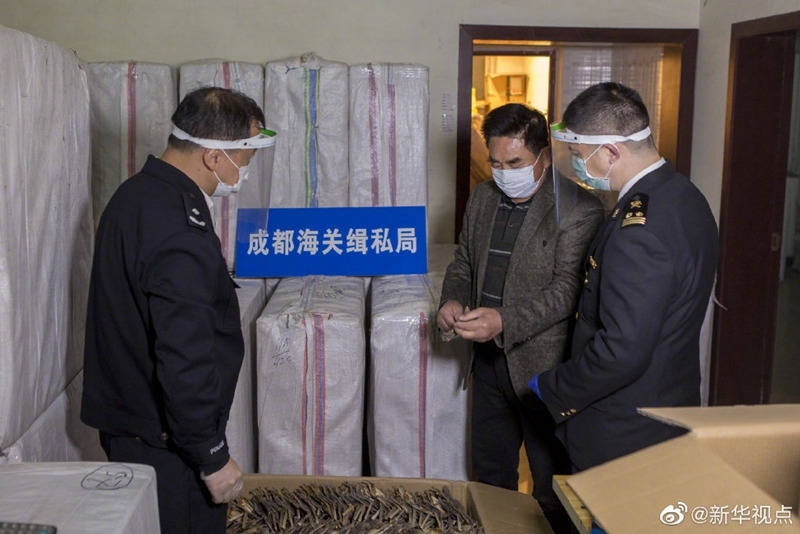 雷霆出击！海关破获国家二级保护野生动物制品走私案