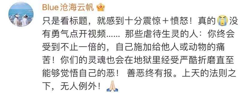 拘留！解约！网红美食博主“杰克辣条”道歉 网友怒了